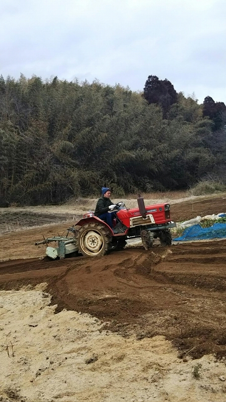 今では息子さんも時々農業を手伝いに来るそうです。
