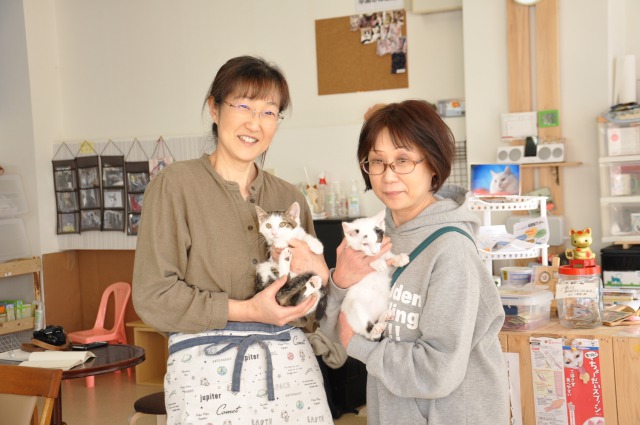 ちょうど、取材中に2匹の兄弟猫が譲渡されました