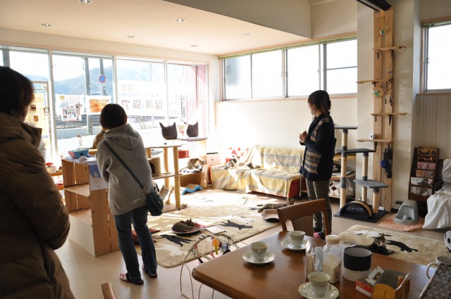 日向ぼっこしている猫たちを見守る利用者さん