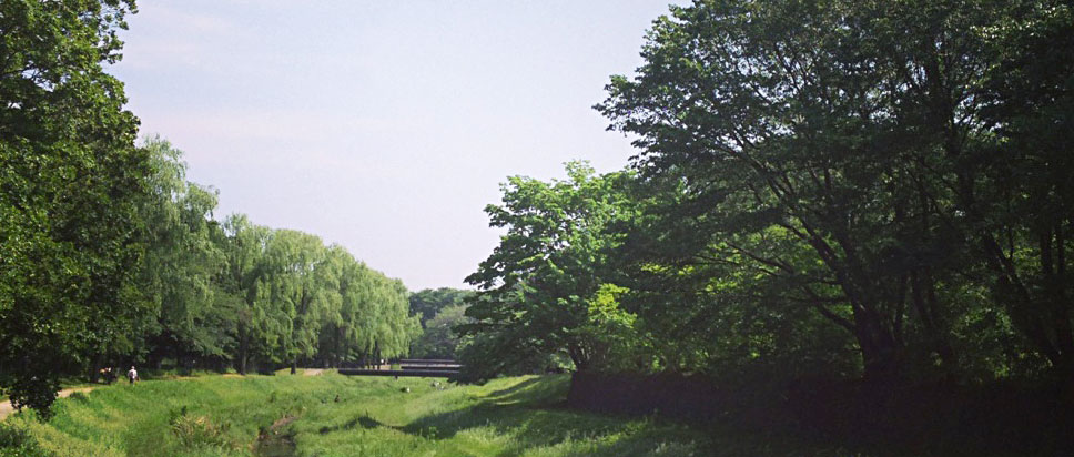 お店の近くから見える景色