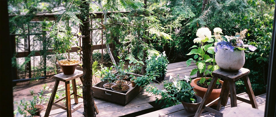 庭とウッドデッキ