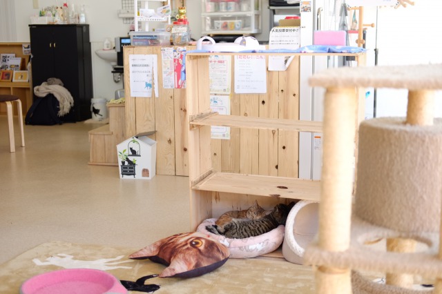 サポーターの手作りに支えられてます