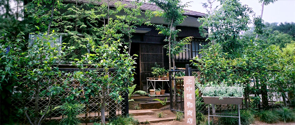 北中植物商店